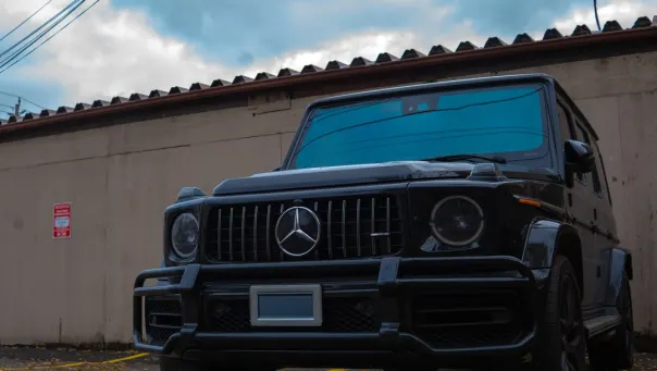 카지노 돔 게임 안드로이드/iOS 앱